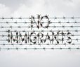 Immigration Not a Key to Nation's Economic Future