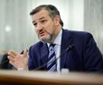 Sen. Cruz to Newsmax: Border Will Be Secure in Two Months