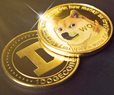 Dogecoin Soars 24% on Trump 'DOGE' Efficiency Group