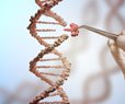 Gene Therapy Cuts Cholesterol, Triglycerides by Half