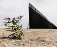 Is the Texas Border Wall a Desert Mirage?