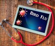 CDC Confirms First Severe Case of Bird Flu in US