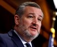 Report: Sen. Cruz Urges DHS Split as Airport Lines Grow