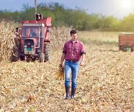 Costs, Regulations Push Small Farms to the Brink