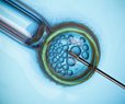 Did Ala. IVF Ruling Commodify Life, or Sanctify It?